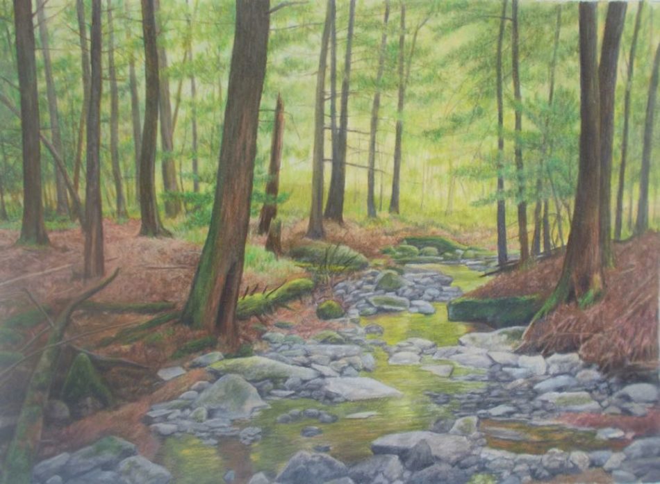 Rocky Forest Stream, colored pencil, 10x14